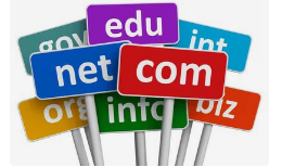 建設網(wǎng)站怎么選擇域名